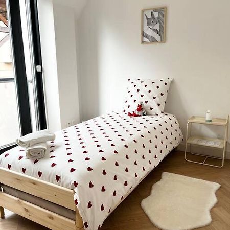 Cocon D'Alsace Apartman Colmar Kültér fotó