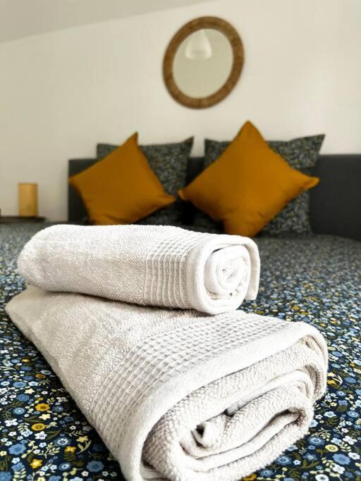 Cocon D'Alsace Apartman Colmar Kültér fotó