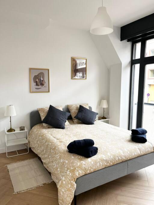 Cocon D'Alsace Apartman Colmar Kültér fotó
