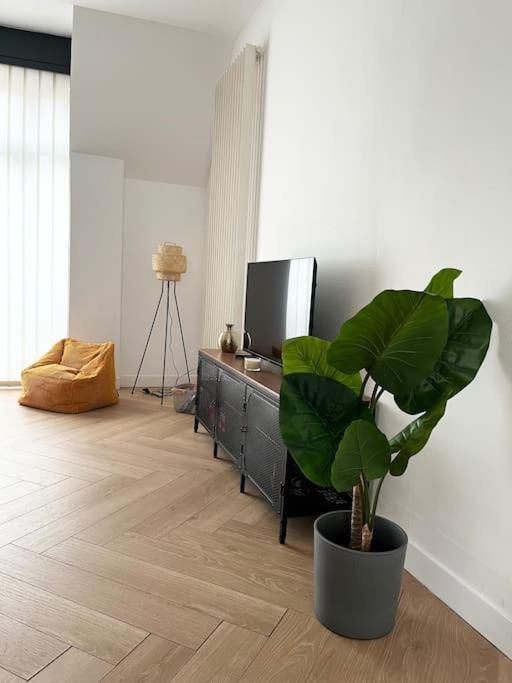 Cocon D'Alsace Apartman Colmar Kültér fotó