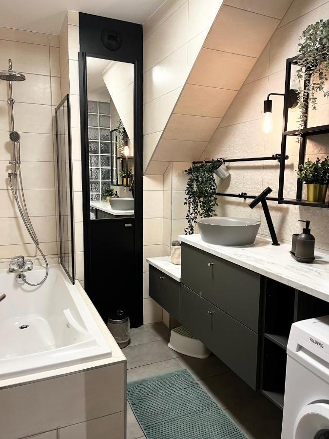 Cocon D'Alsace Apartman Colmar Kültér fotó